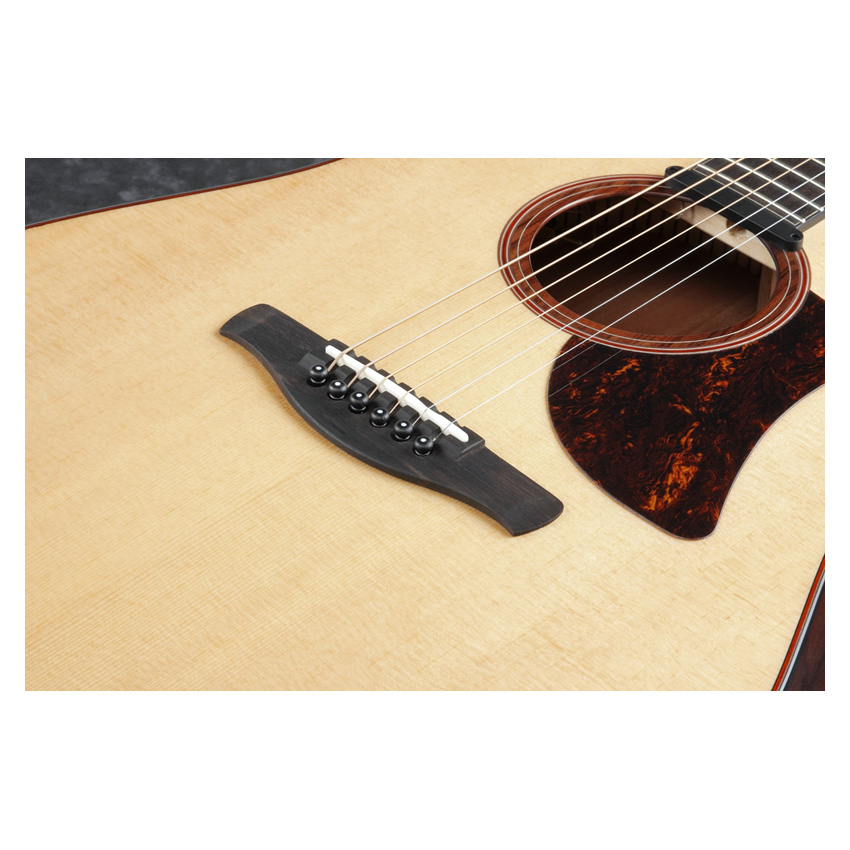 Ibanez AAD170CE-LGS - 2