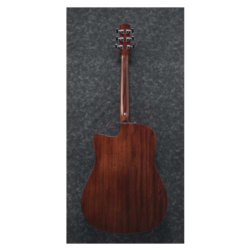Ibanez AAD170CE-LGS - 3