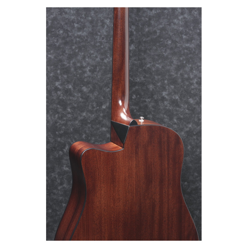 Ibanez AAD170CE-LGS - 5