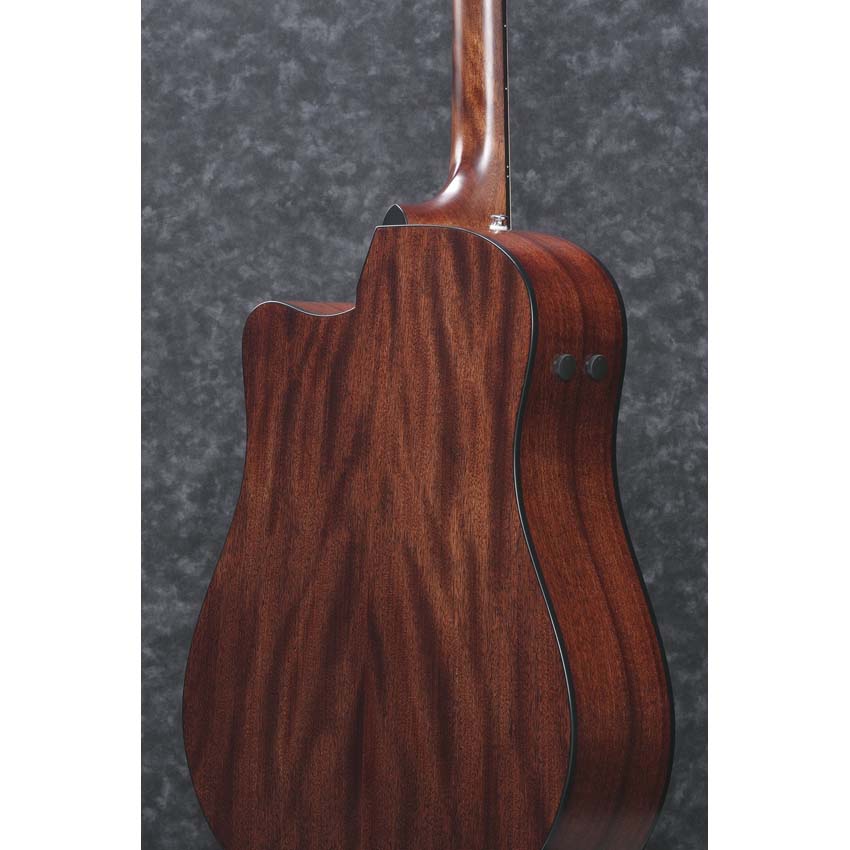 Ibanez AAD170CE-LGS - 4