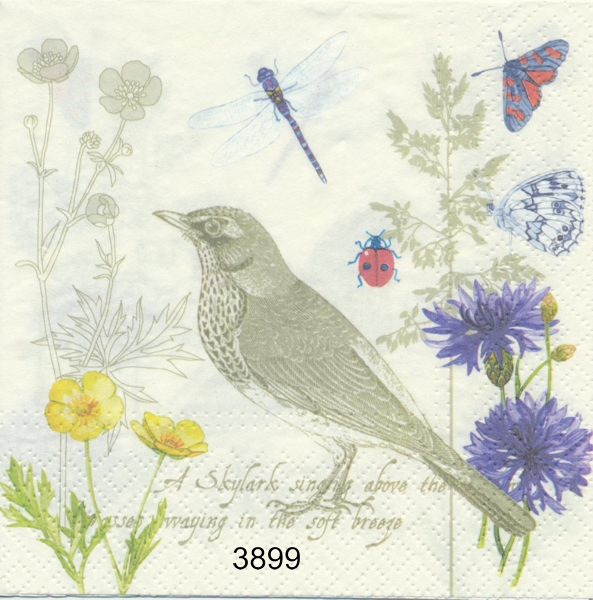 Naturmotiv fågel,blommor, mm..