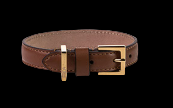 Frida Firenze Hundhalsband Plain, Brown - 2