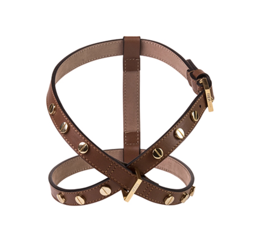 Frida Firenze Stud Screw Harness, Brown