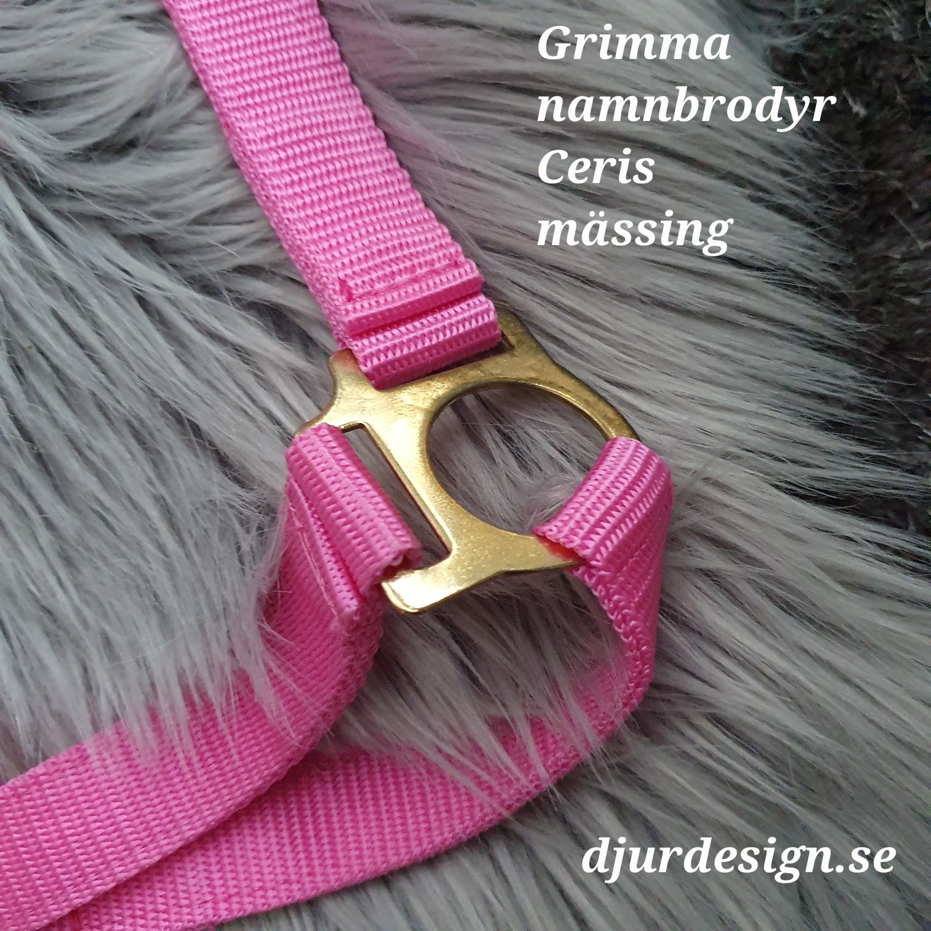 X-FULL  Ceris grimma mässing med namn / text brodyr  - 7