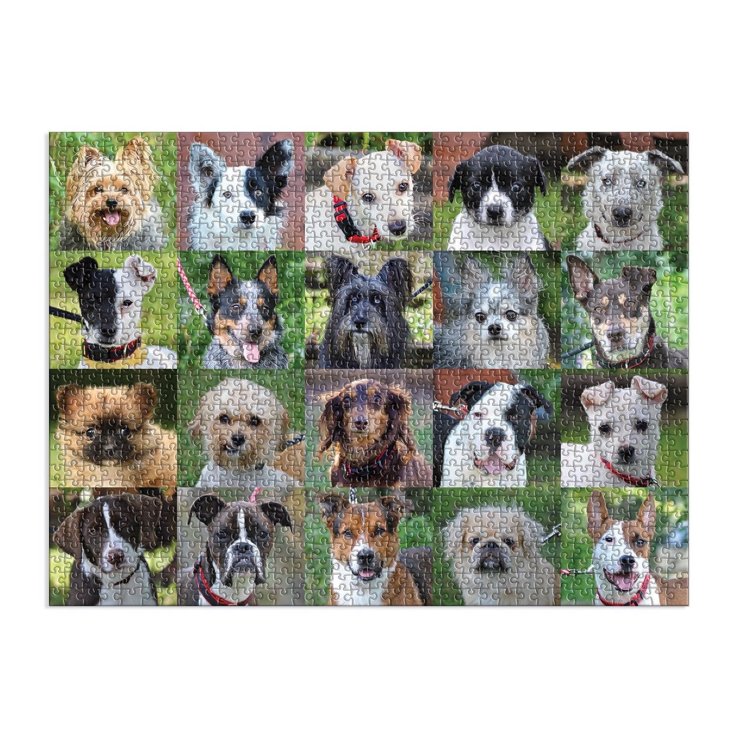 Rescue Dogs, 1000 Piece Puzzle - 2