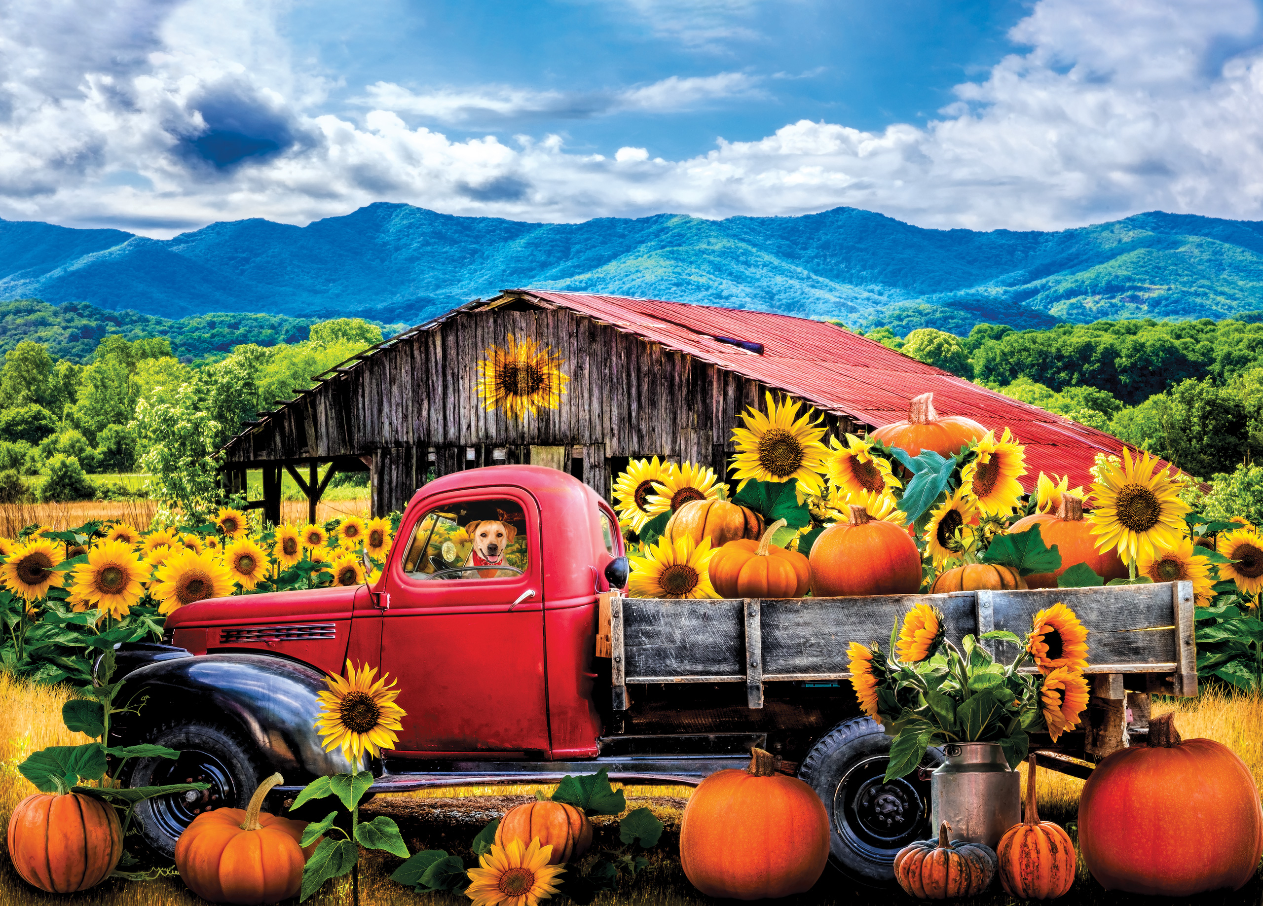 Sunflower Farm, 1000 Piece Jigsaw Puzzle - 3