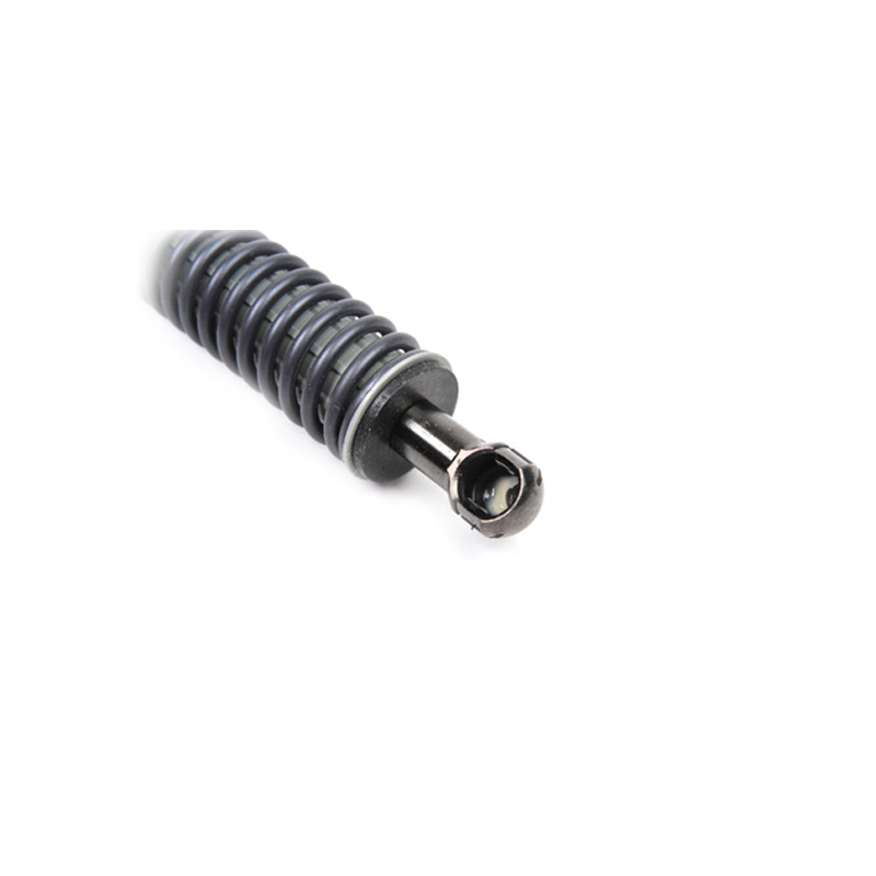 Gas spring rear with spring - 2