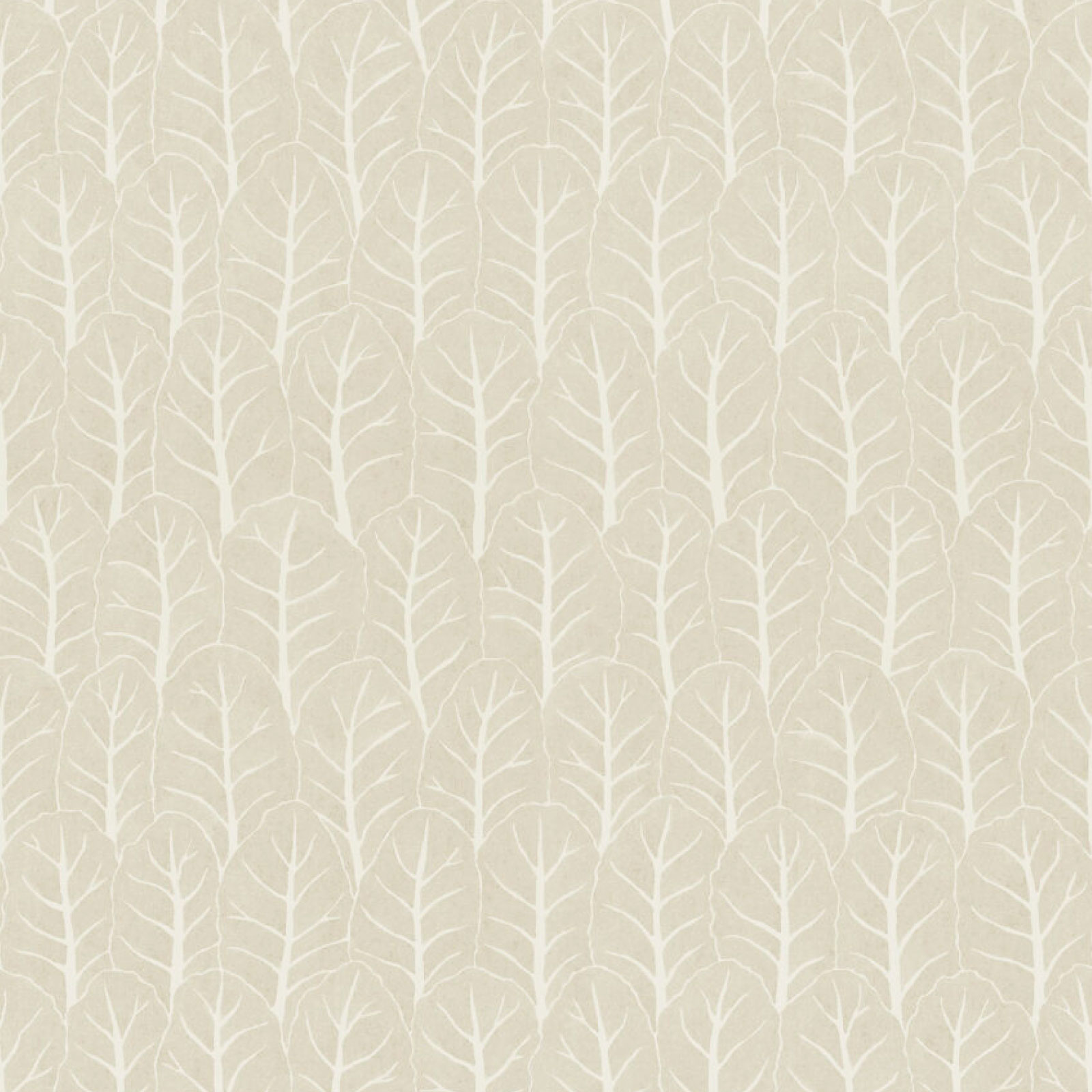 TAPET COLESLAW, Oatmeal