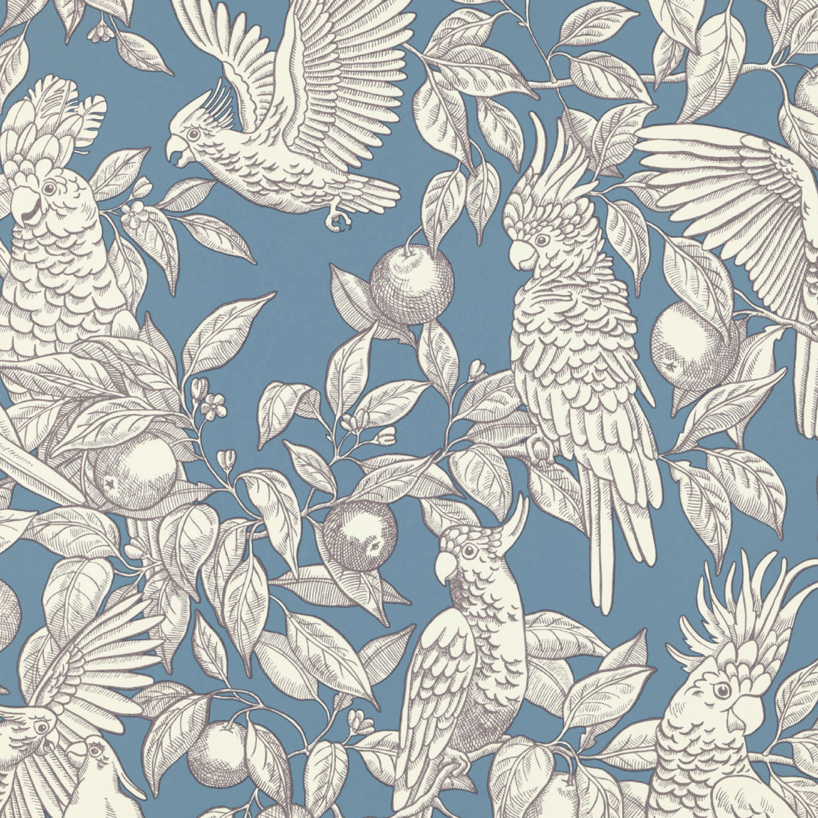 TAPET TALK ABOUT COCKATOOS, Faded Denim