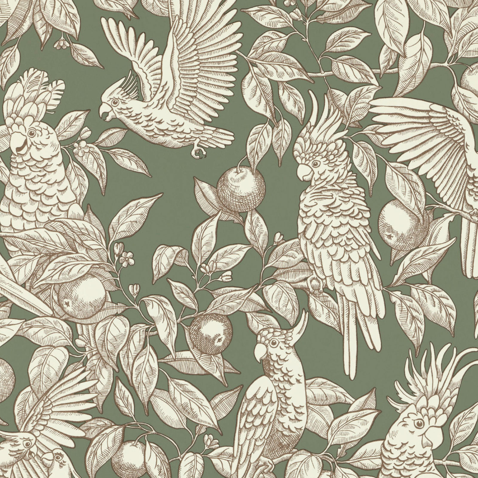 TAPET TALK ABOUT COCKATOOS, Sage Green
