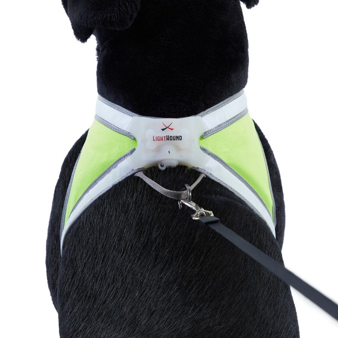 Noxgear LightHound LED-sele - 9
