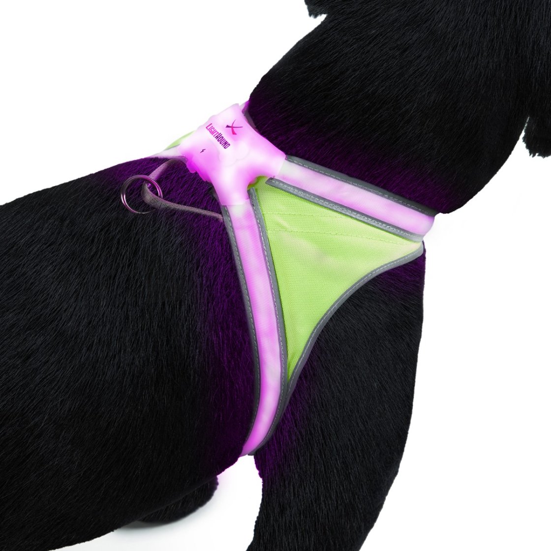 Noxgear LightHound LED-sele - 8