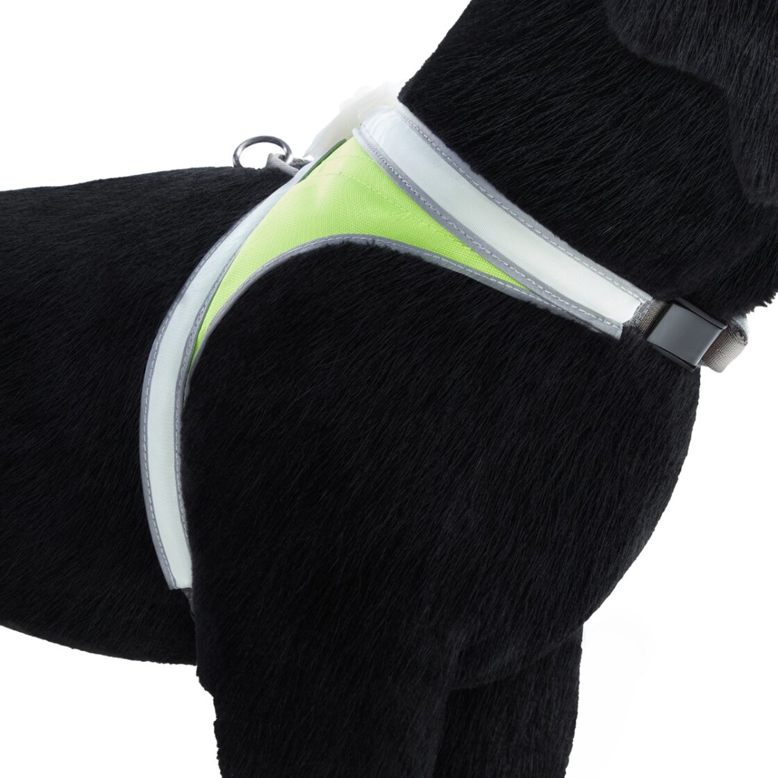 Noxgear LightHound LED-sele - 11