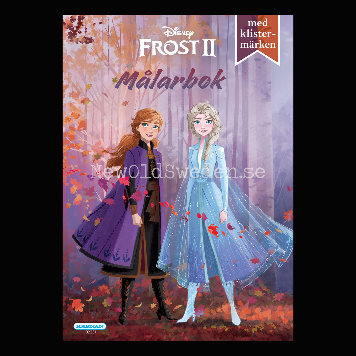 Frost 2 Pysselbok med kritor - 2