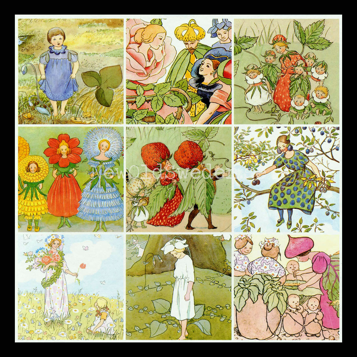 Lotto - Elsa Beskow - 3