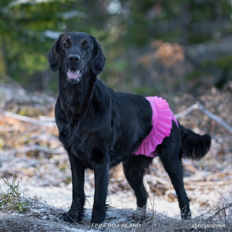 FinNero Ballerina Tikskydd Pink - 5