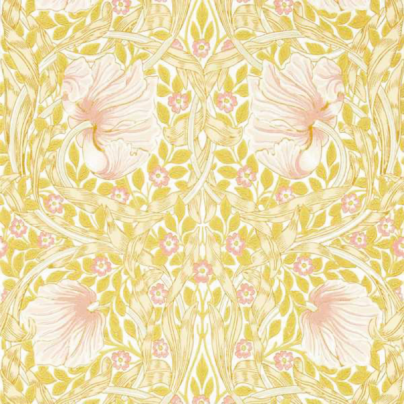 TAPET PIMPERNEL, sunflower pink