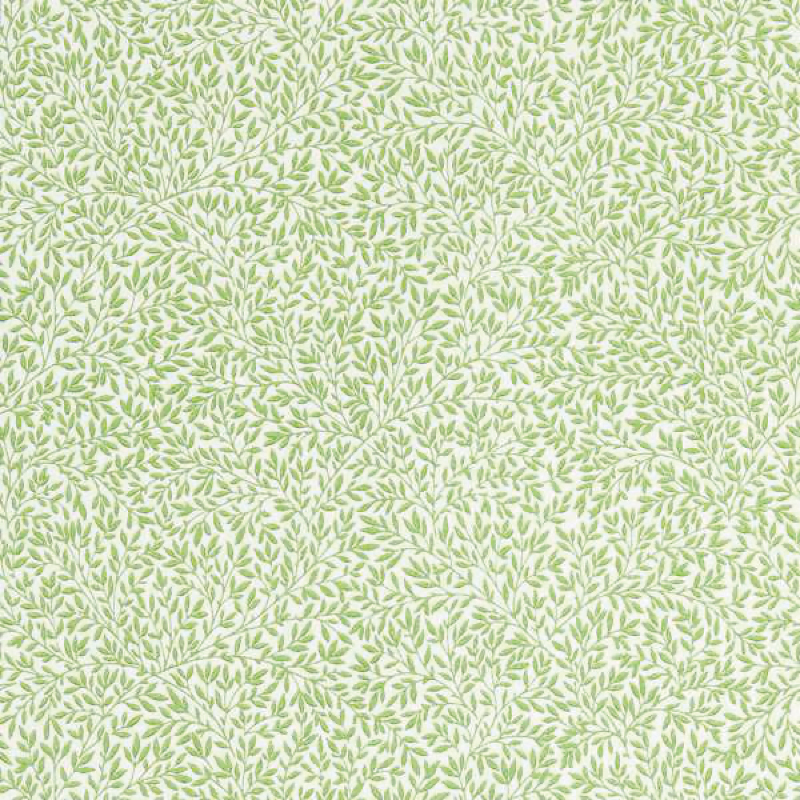 TAPET STANDEN, leaf green