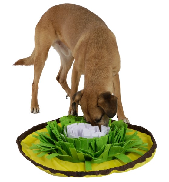 Kerbl Sniff Rug / Bowl - 60 cm
