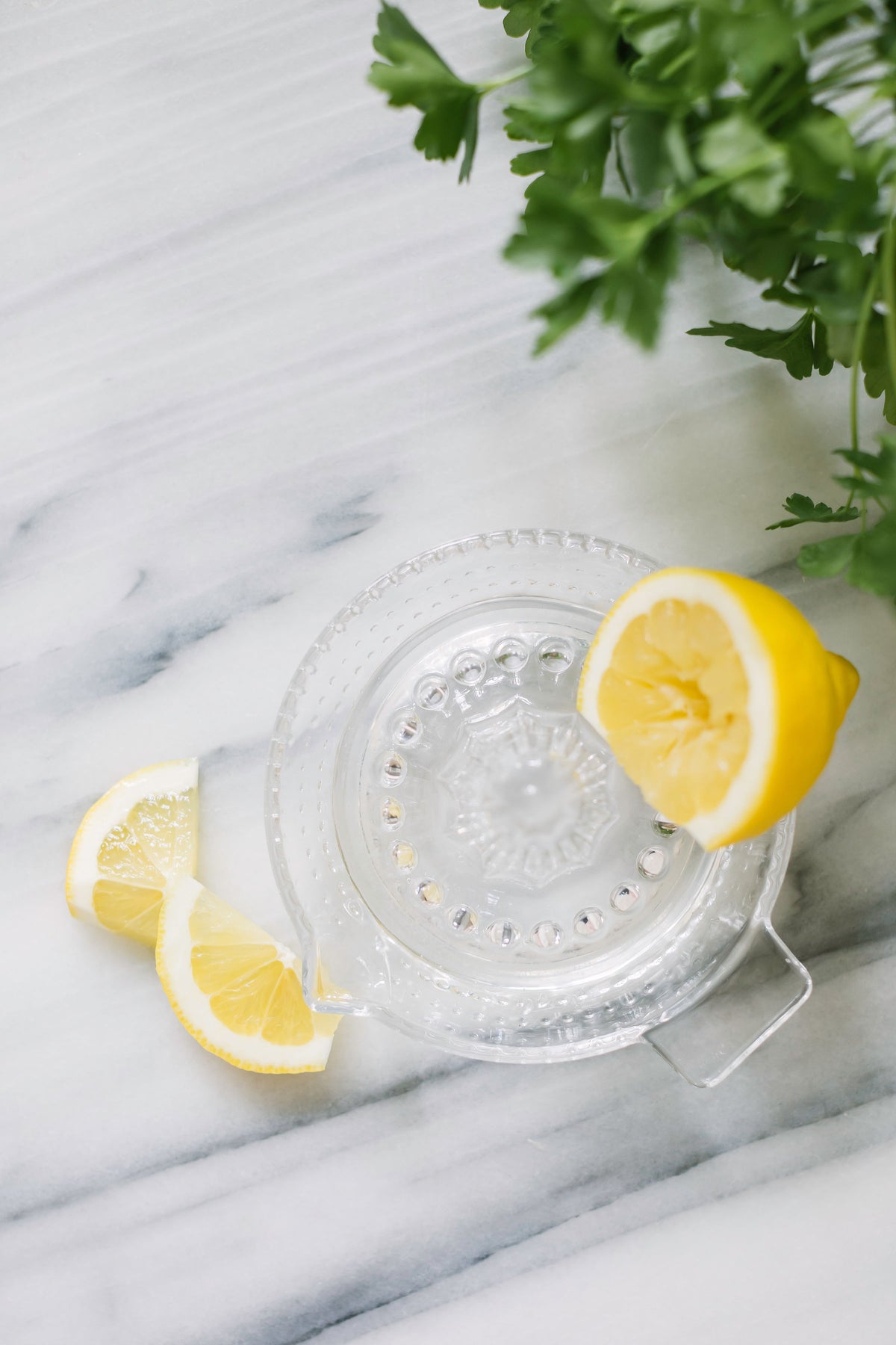CITRUSPRESS i glas