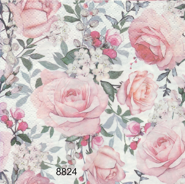 Rosa rosor