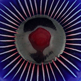 Carl-Harry Stålhane (Anemone 1960s) Blue Quadratic Bowl with Linear Relief 13 cm