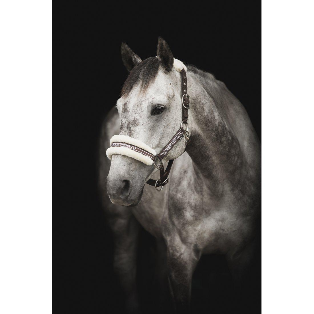 Källquist Equestrian - Grimma Horse Unique - Svart / Grå (Cob)