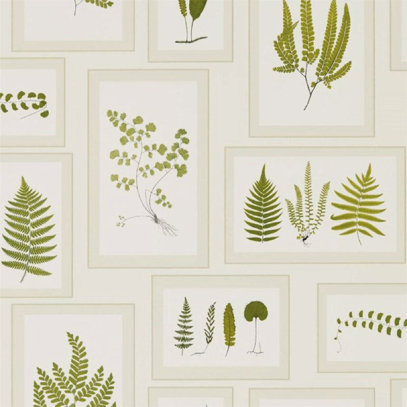 TAPET FERN GALLERY, Ivory Green