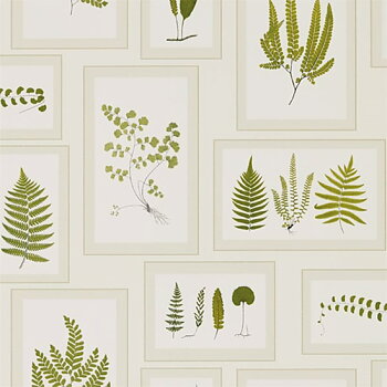 TAPET FERN GALLERY, Ivory Green