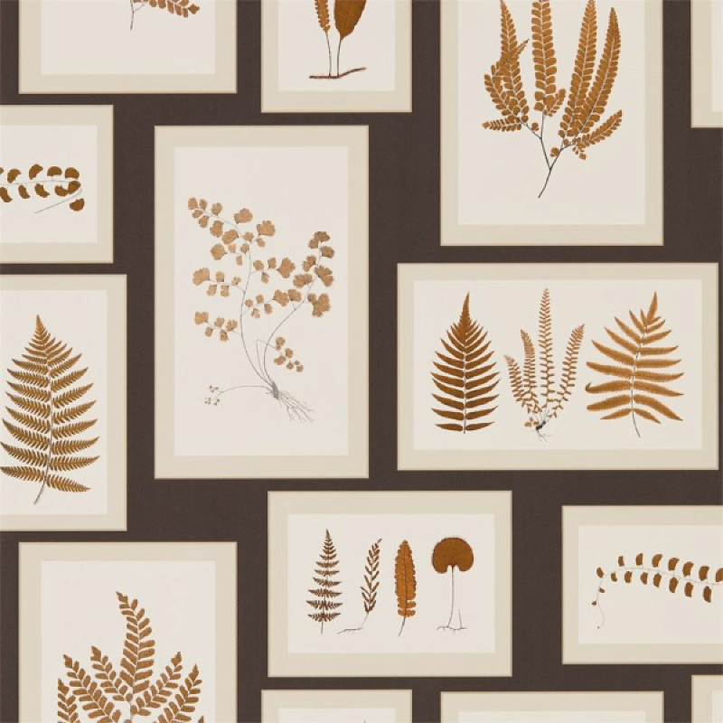 TAPET FERN GALLERY, Charcoal Spice