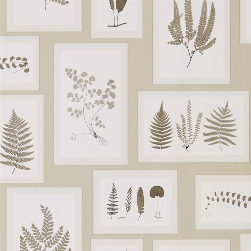 TAPET FERN GALLERY, Linen Sepia