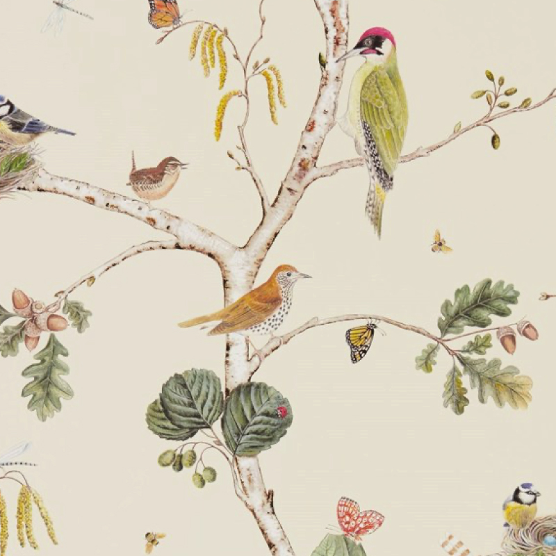 TAPET WOODLAND CHORUS, Cream Multi