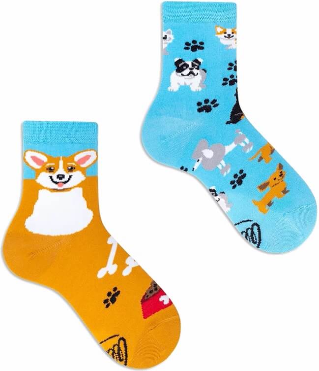 Many Mornings Playfull Dog Barnstrumpor