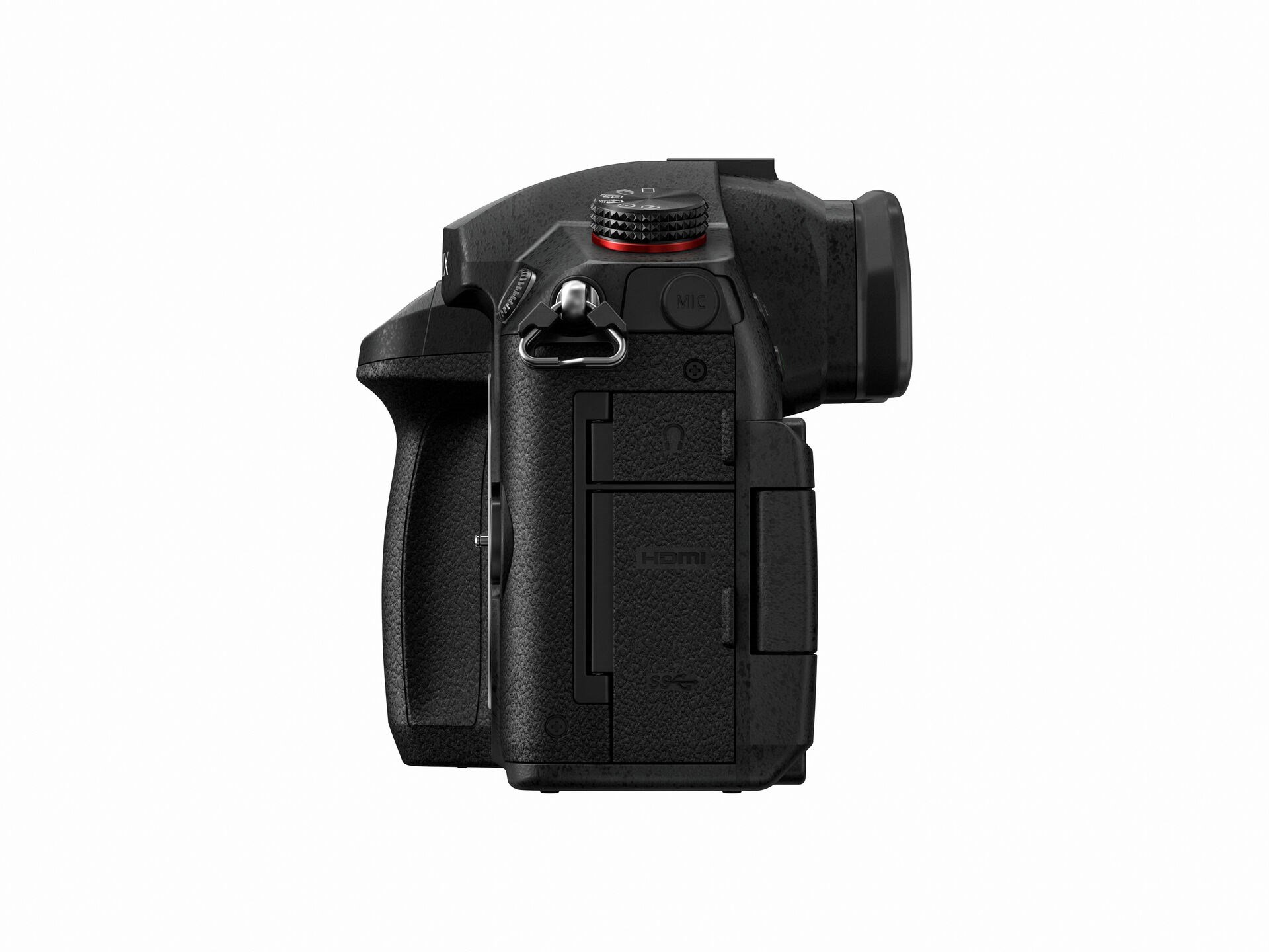 Panasonic Lumix DC-GH5II + Lumix G Vario 12-60mm f/3,5-5,6 ASPH Power O.I. - 8