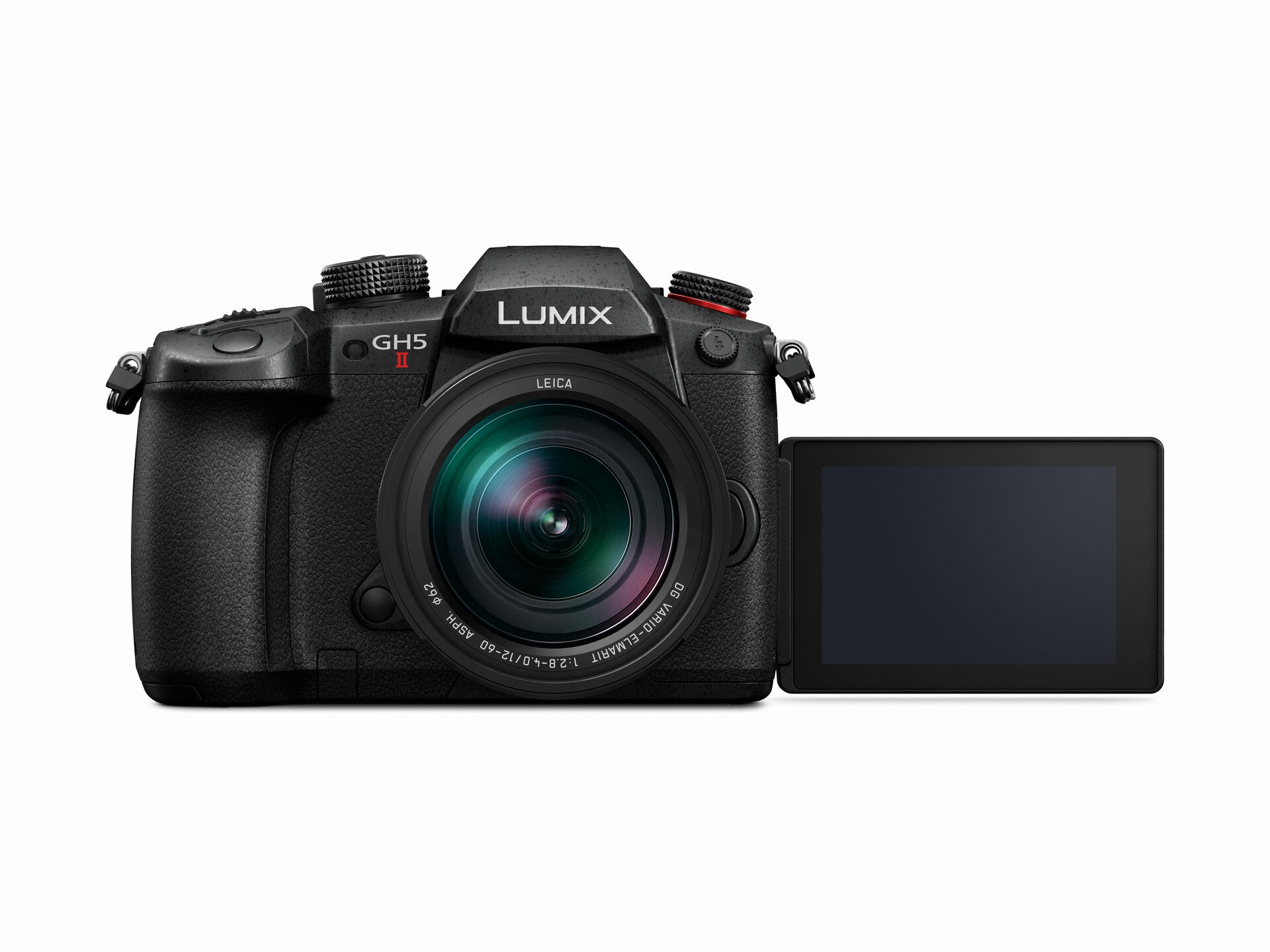 Panasonic Lumix DC-GH5II + Leica DG Vario Elmarit 12-60mm f/2,8-4,0 ASPH - 4