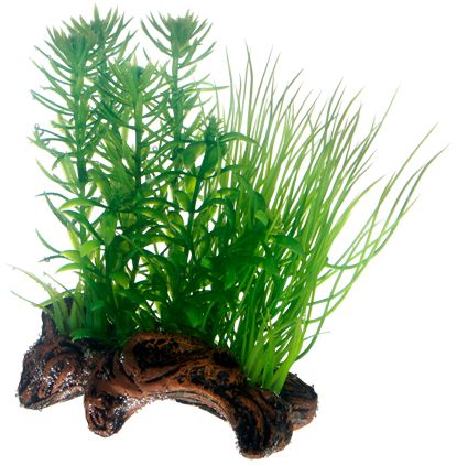 Hobby - Flora Root 2 S