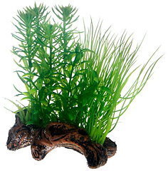 Hobby - Flora Root 2 S