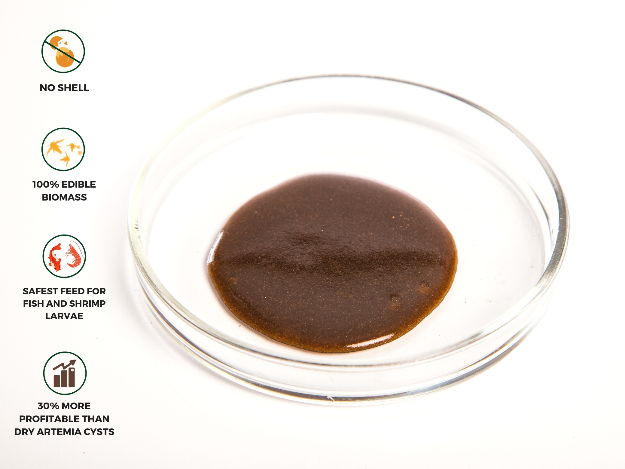 Embryo Artemia - Live Decapsulated Brine Shrimp Eggs 85-90% HR,  150 ml - 3