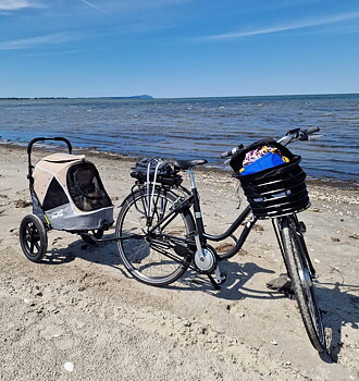INNOPET SPORTY  EVOLUTION  - LATTE