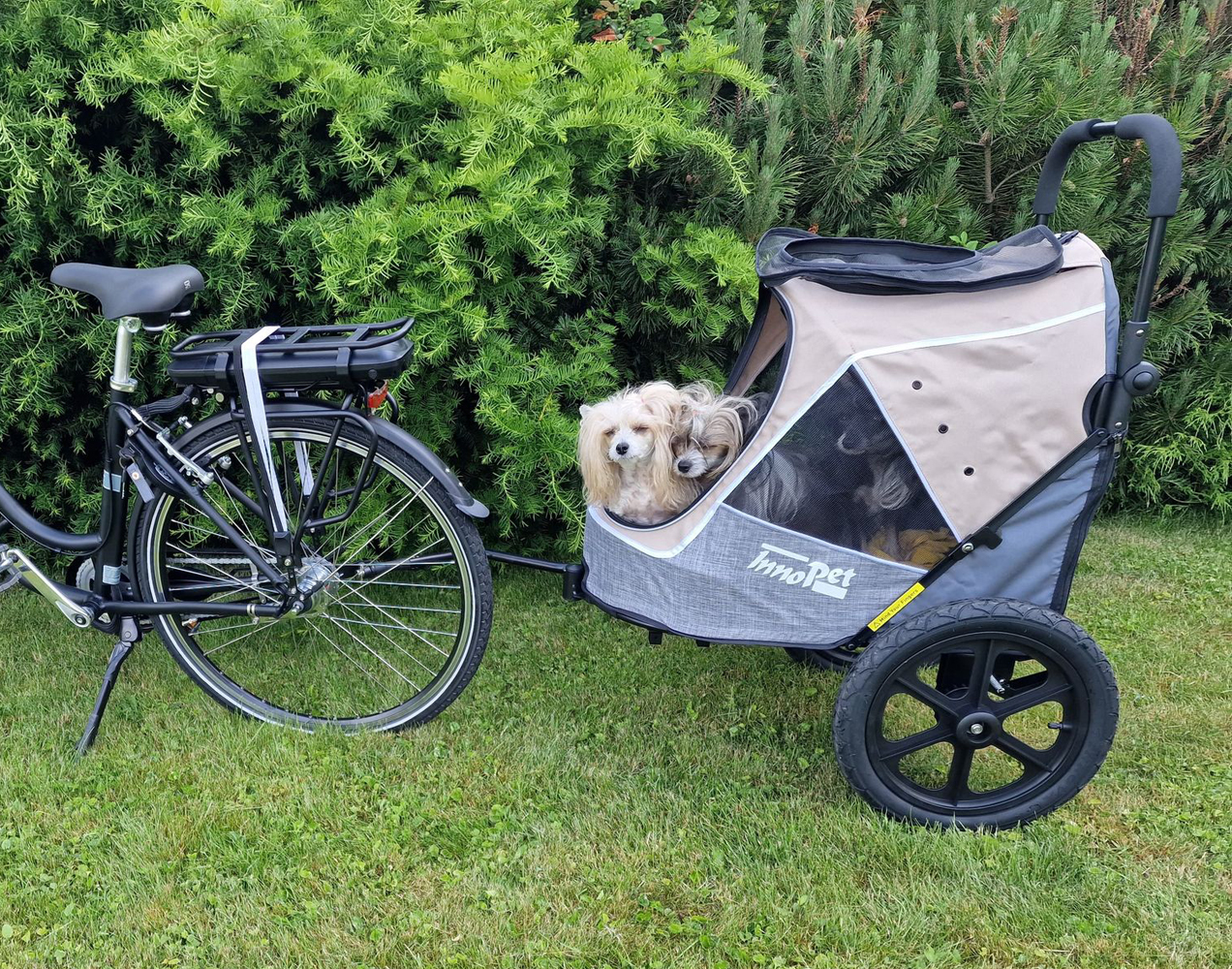 INNOPET SPORTY  EVOLUTION  - LATTE - 19