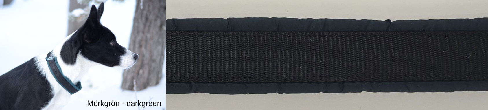 HALSBAND polstrad halvstryp, 25mm svart band - 10
