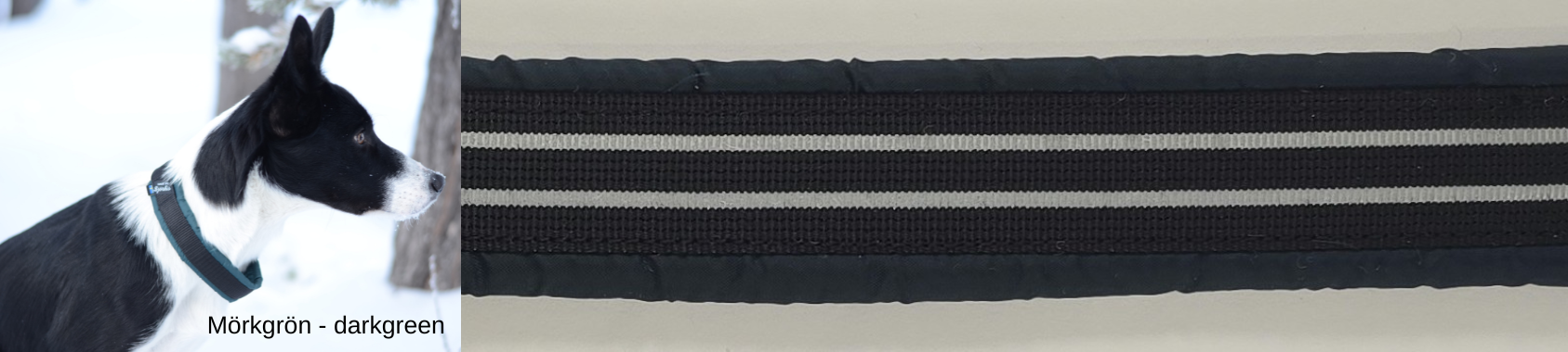 HALSBAND polstrad halvstryp med REFLEX, 25mm band - 15
