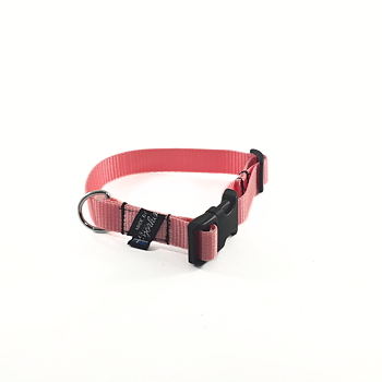 VALP- OCH SMÅHUNDS HALSBAND, fast reglerbar med knäppe spänne, 19 mm band