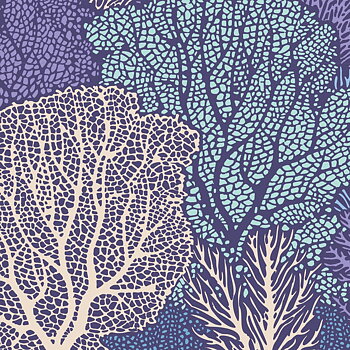 Tilda Cotton Beach Coral Reef Blue 40 x 110  m