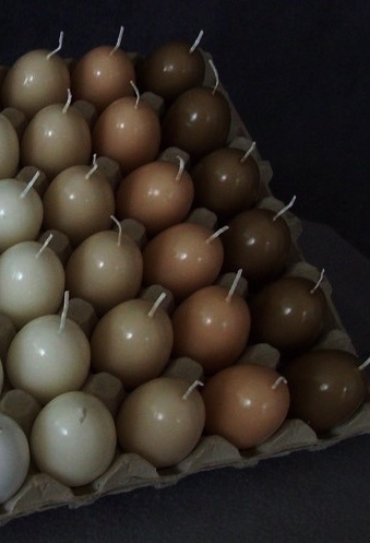 Candle - Egg candle - Stearin candle - Duck egg - Brown - 10 cm - 5