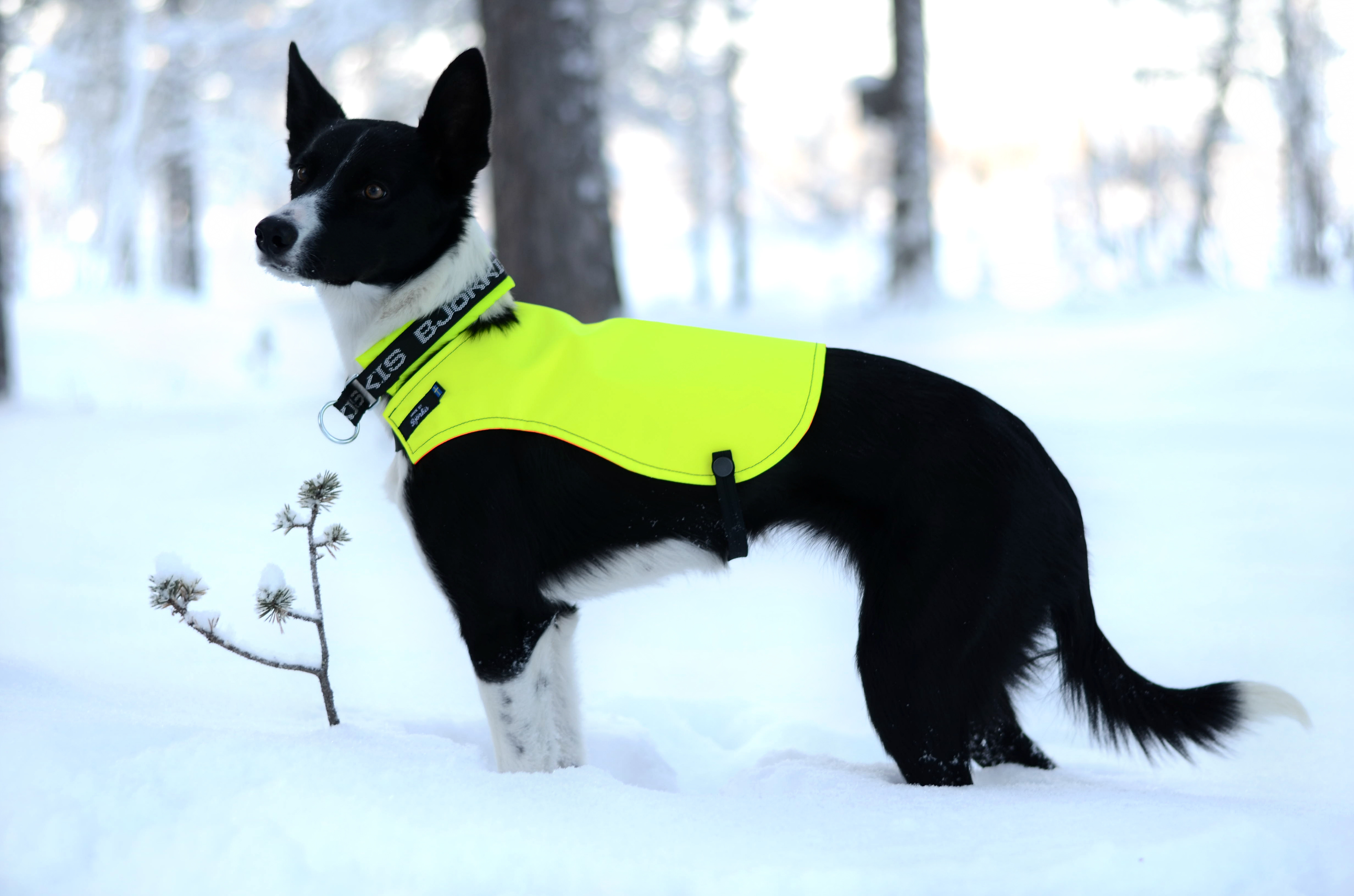 JAKTVÄST kort modell - 4