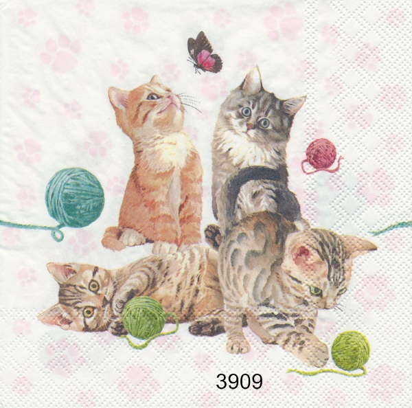 Kattungar