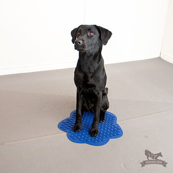 Flexiness® SensiMat Paw