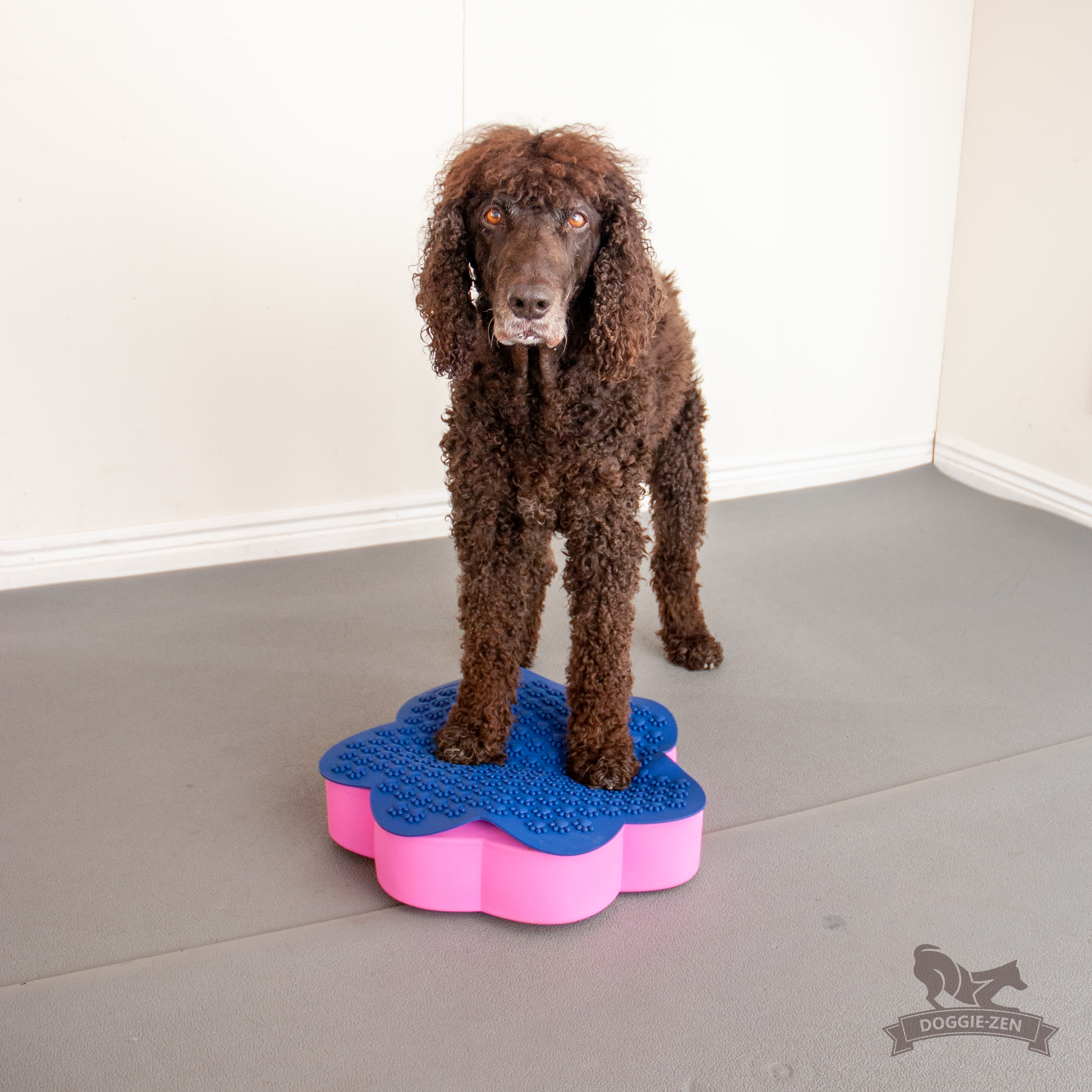 Flexiness® SensiMat Paw - 3