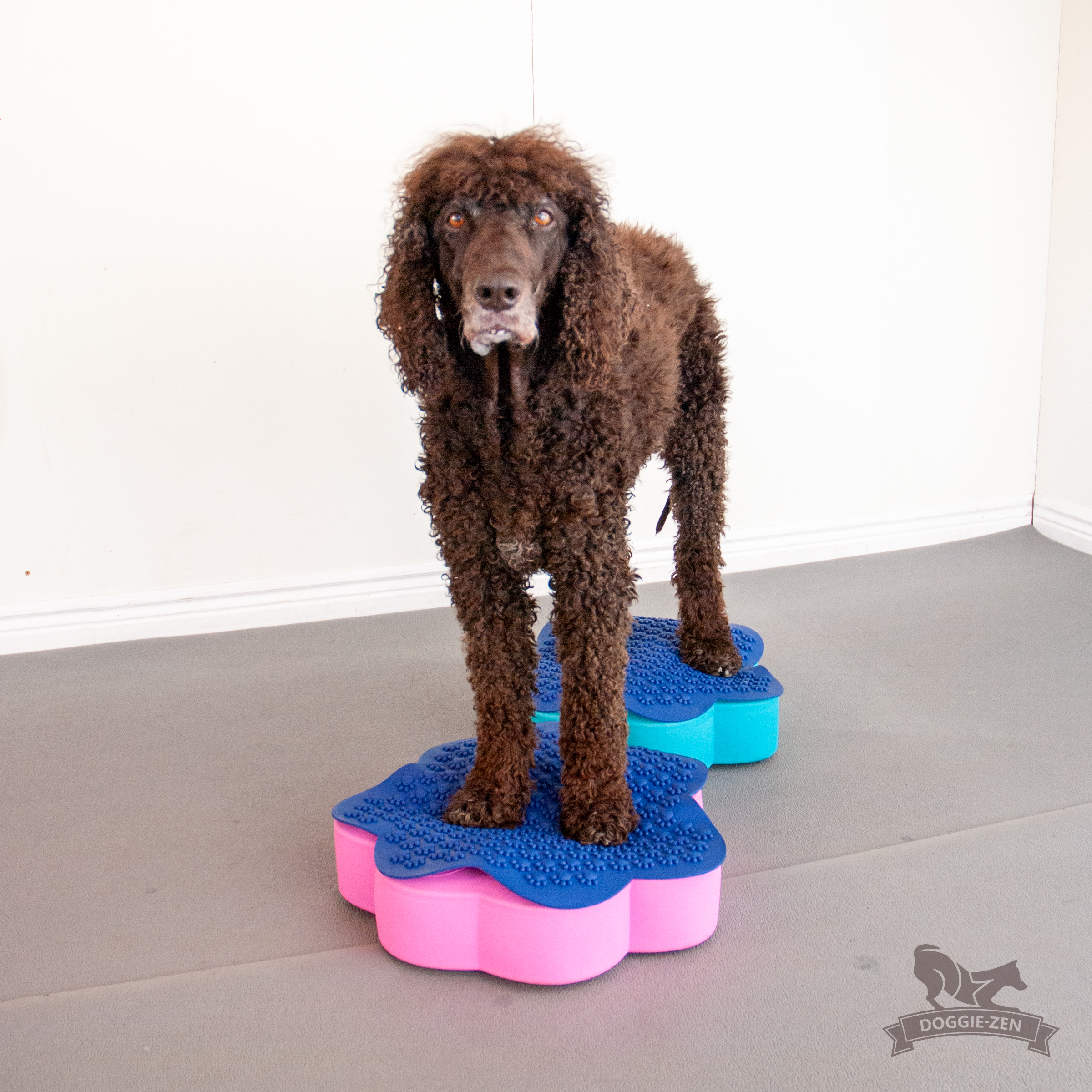 Flexiness® SensiMat Paw - 8